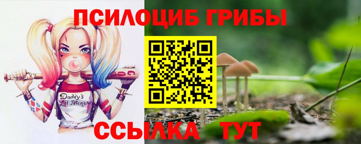 Псилоцибиновые грибы MAGIC MUSHROOMS Клин